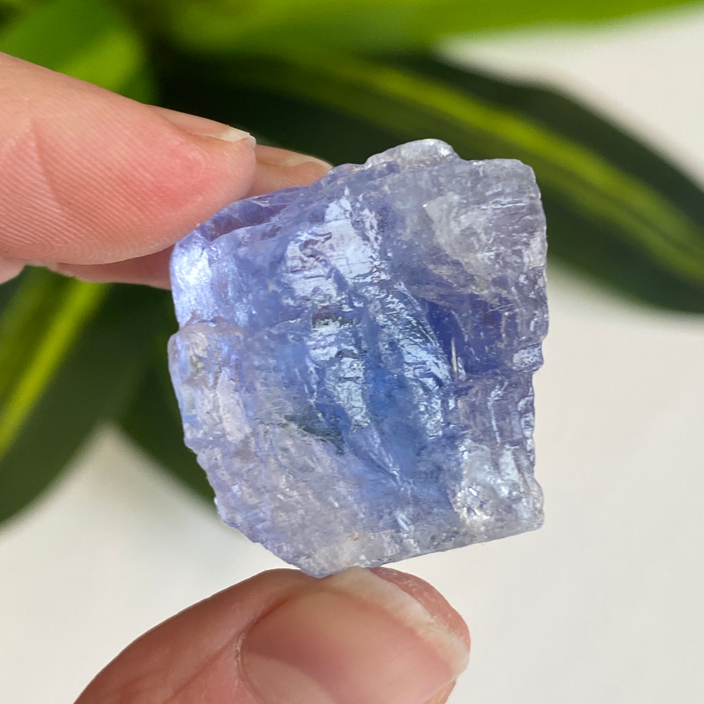 Blue Halite