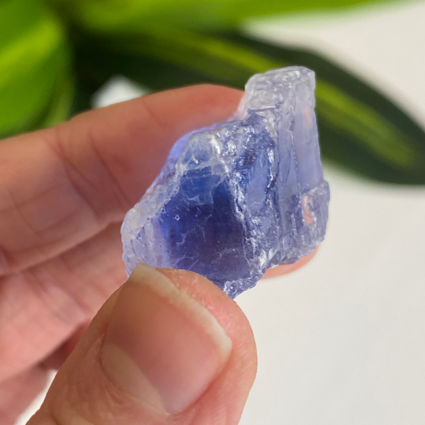 Blue Halite