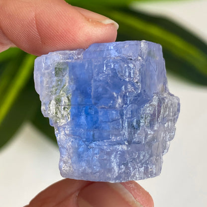 Blue Halite
