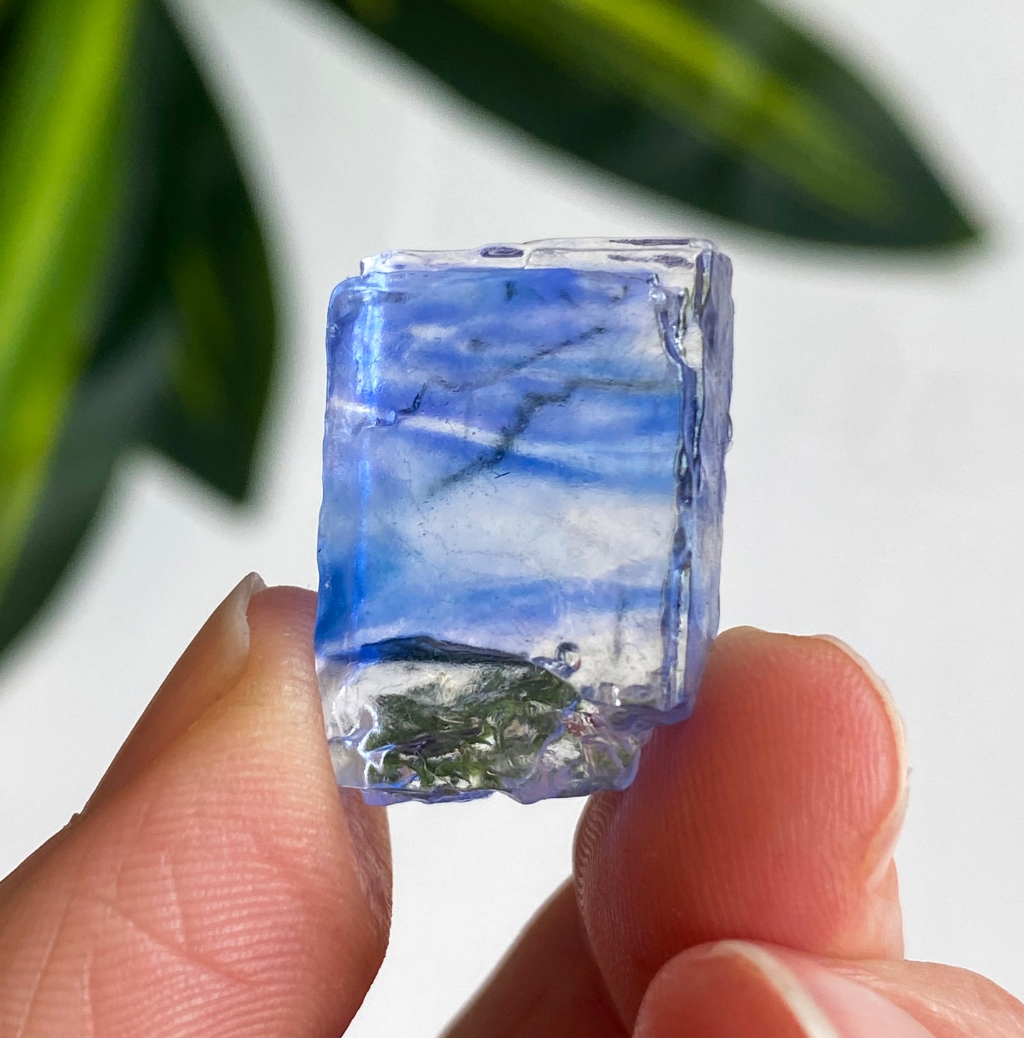 Blue Halite