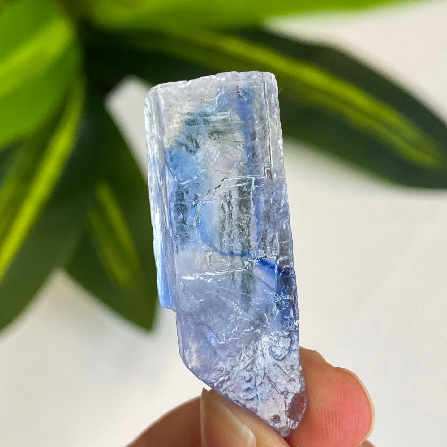 Blue Halite