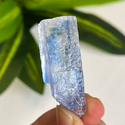 Blue Halite