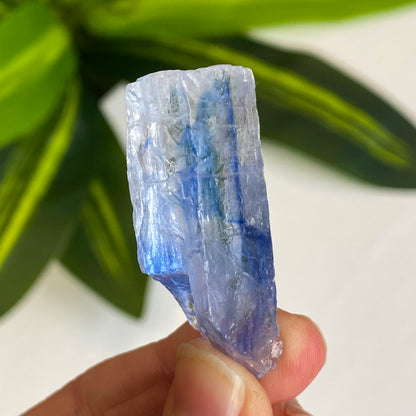 Blue Halite