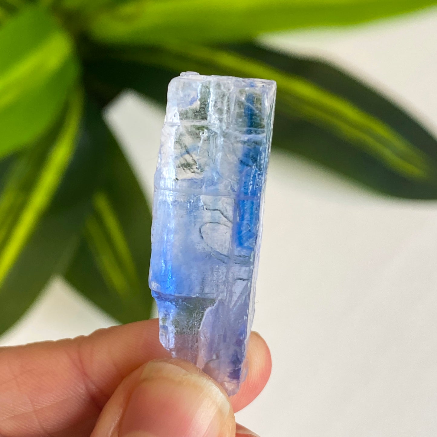 Blue Halite