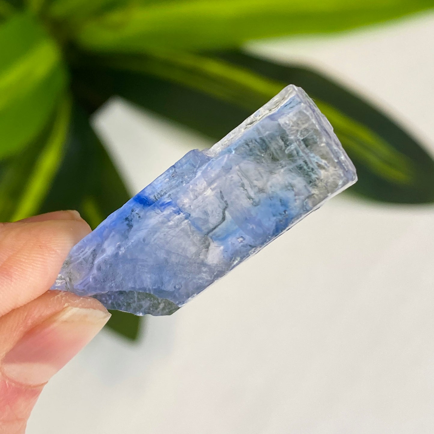 Blue Halite