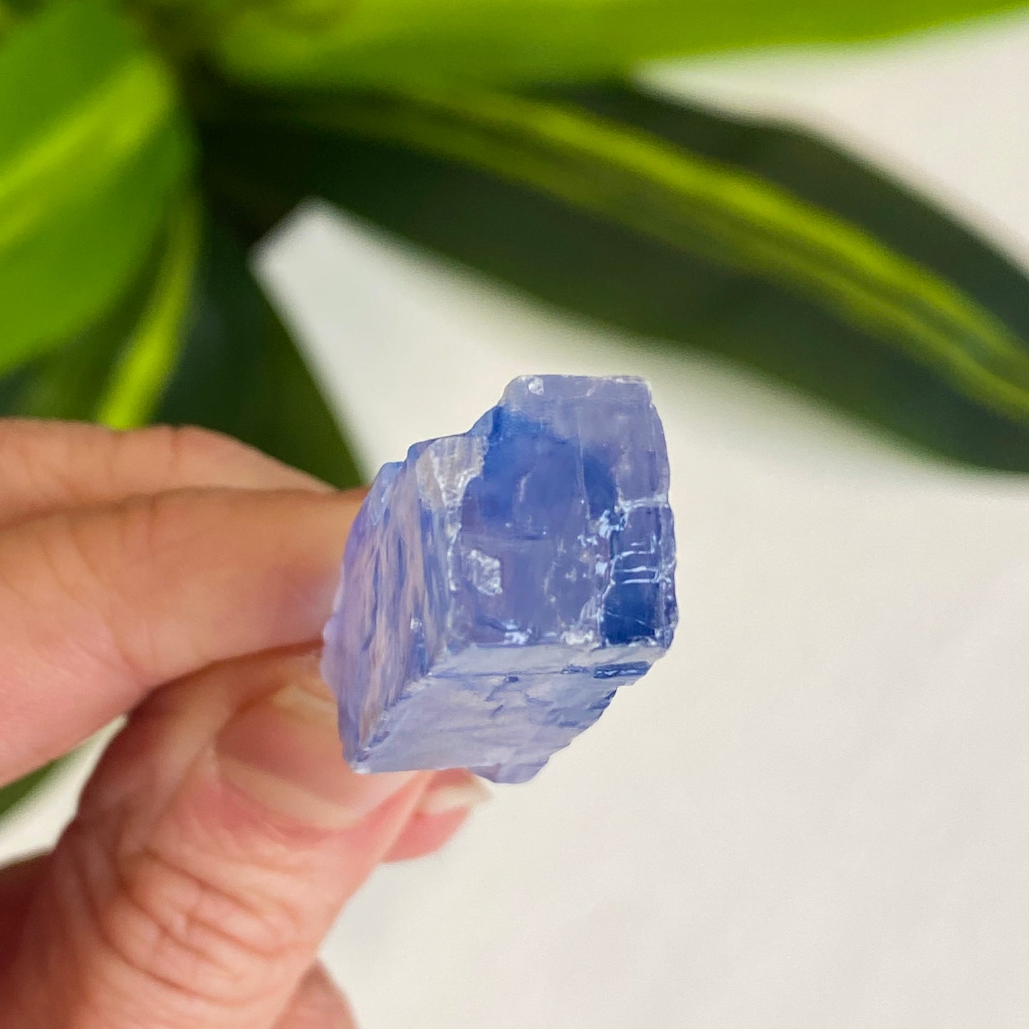 Blue Halite