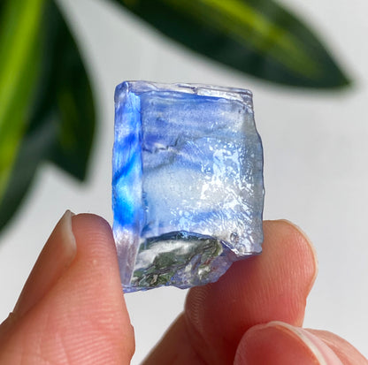 Blue Halite
