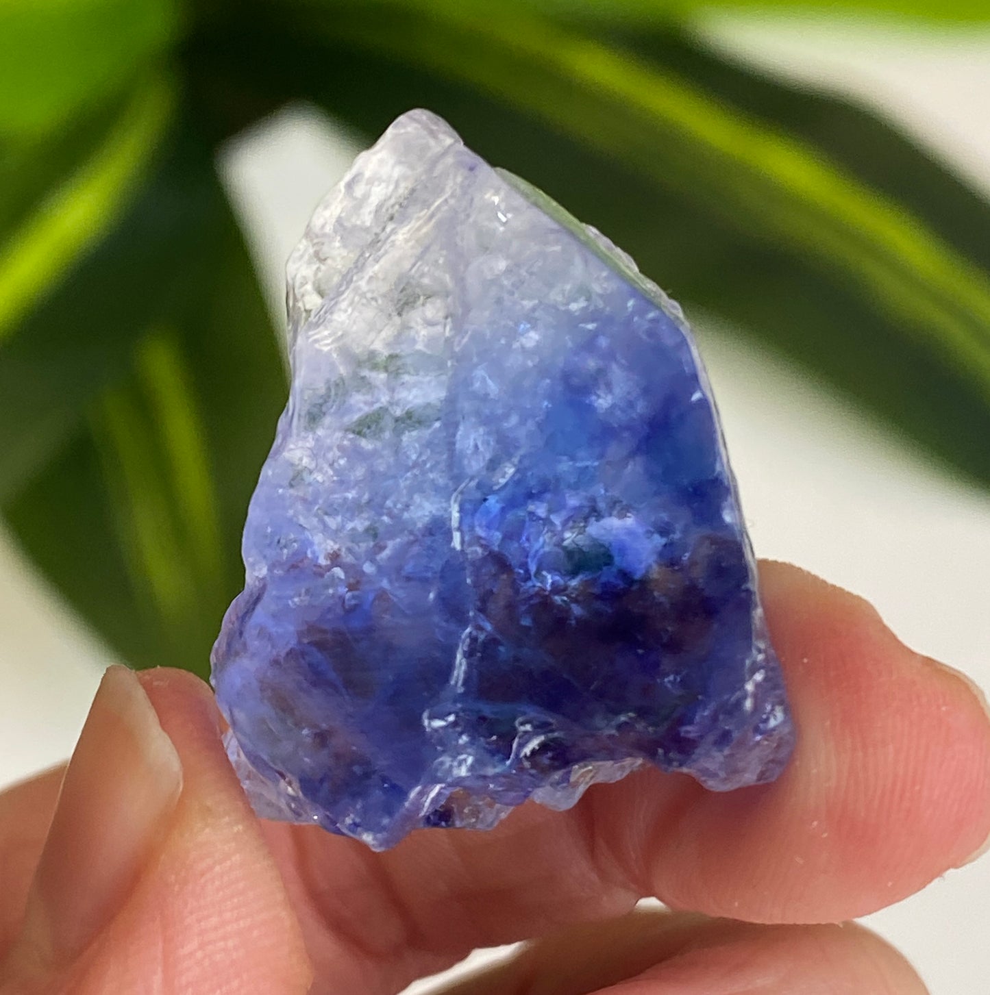 Blue Halite