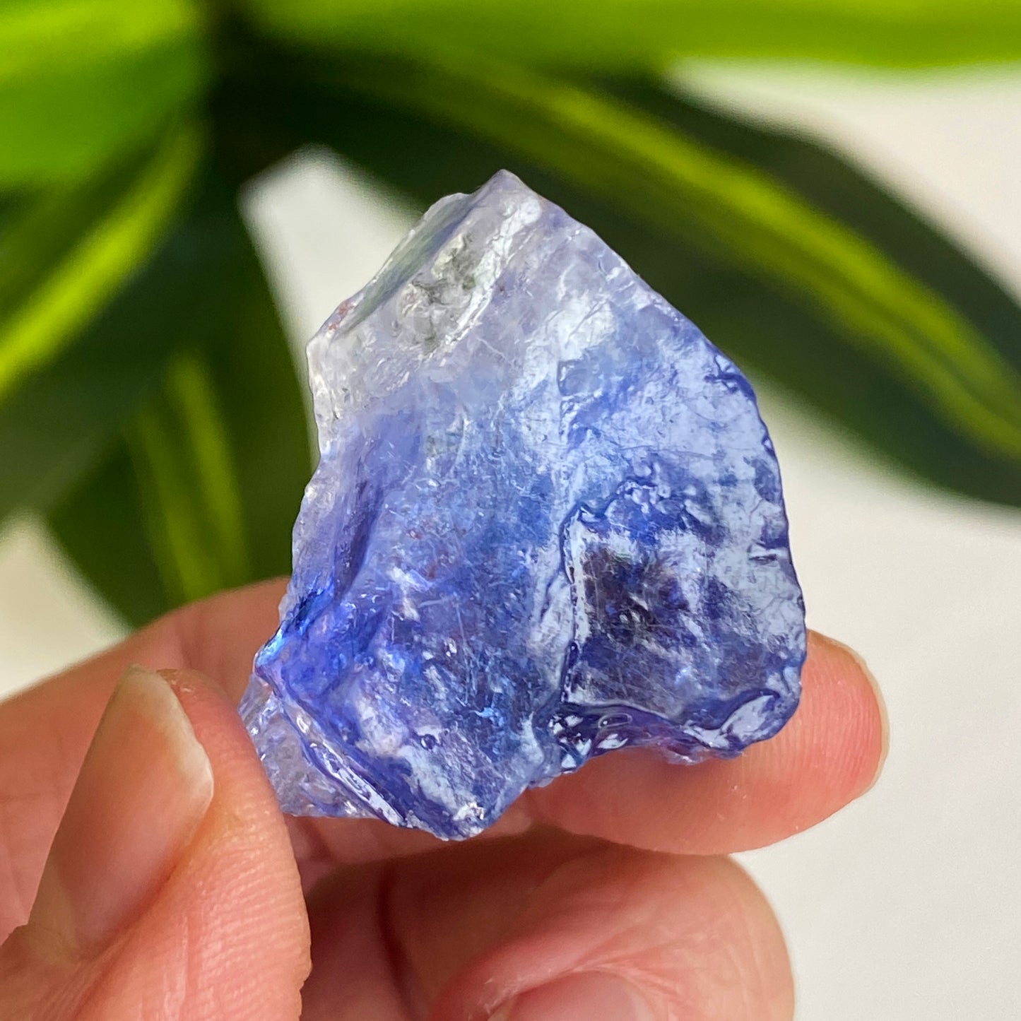 Blue Halite