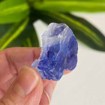 Blue Halite
