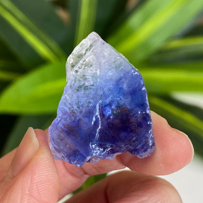 Blue Halite
