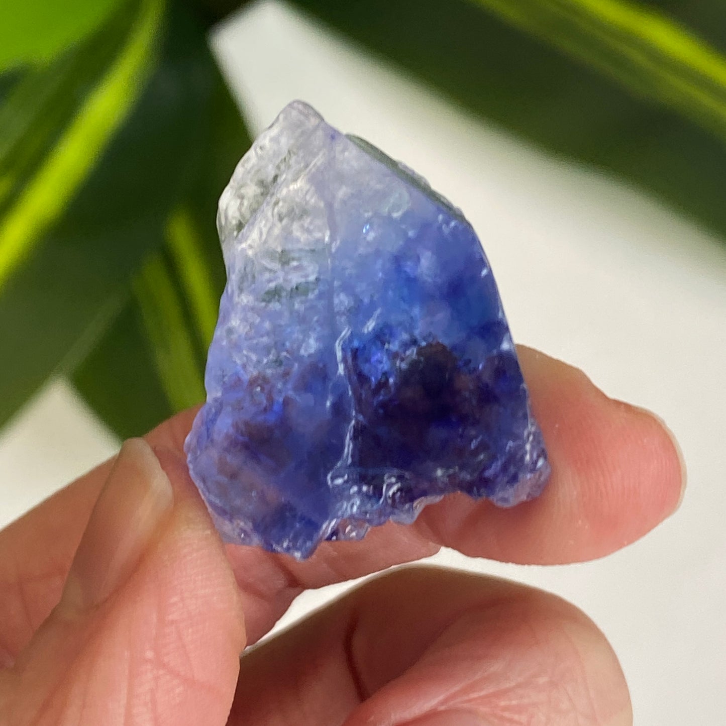 Blue Halite