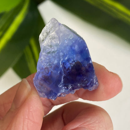 Blue Halite