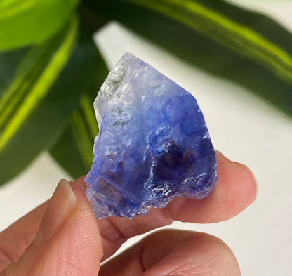 Blue Halite