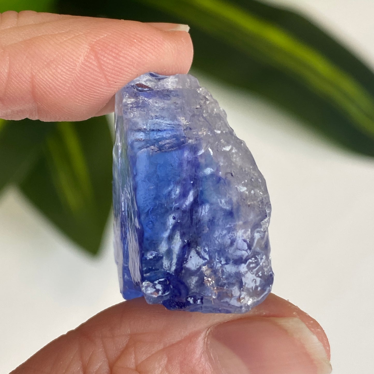 Blue Halite