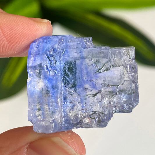 Blue Halite