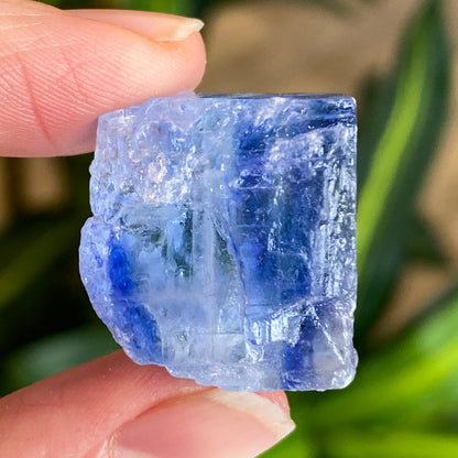 Blue Halite