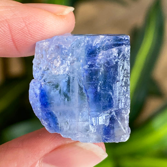 Blue Halite