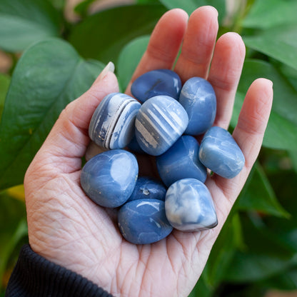Blue Owyhee Opal Tumbled Stone