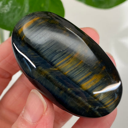 Hawk's Eye Palm Stone, Blue Tiger's Eye