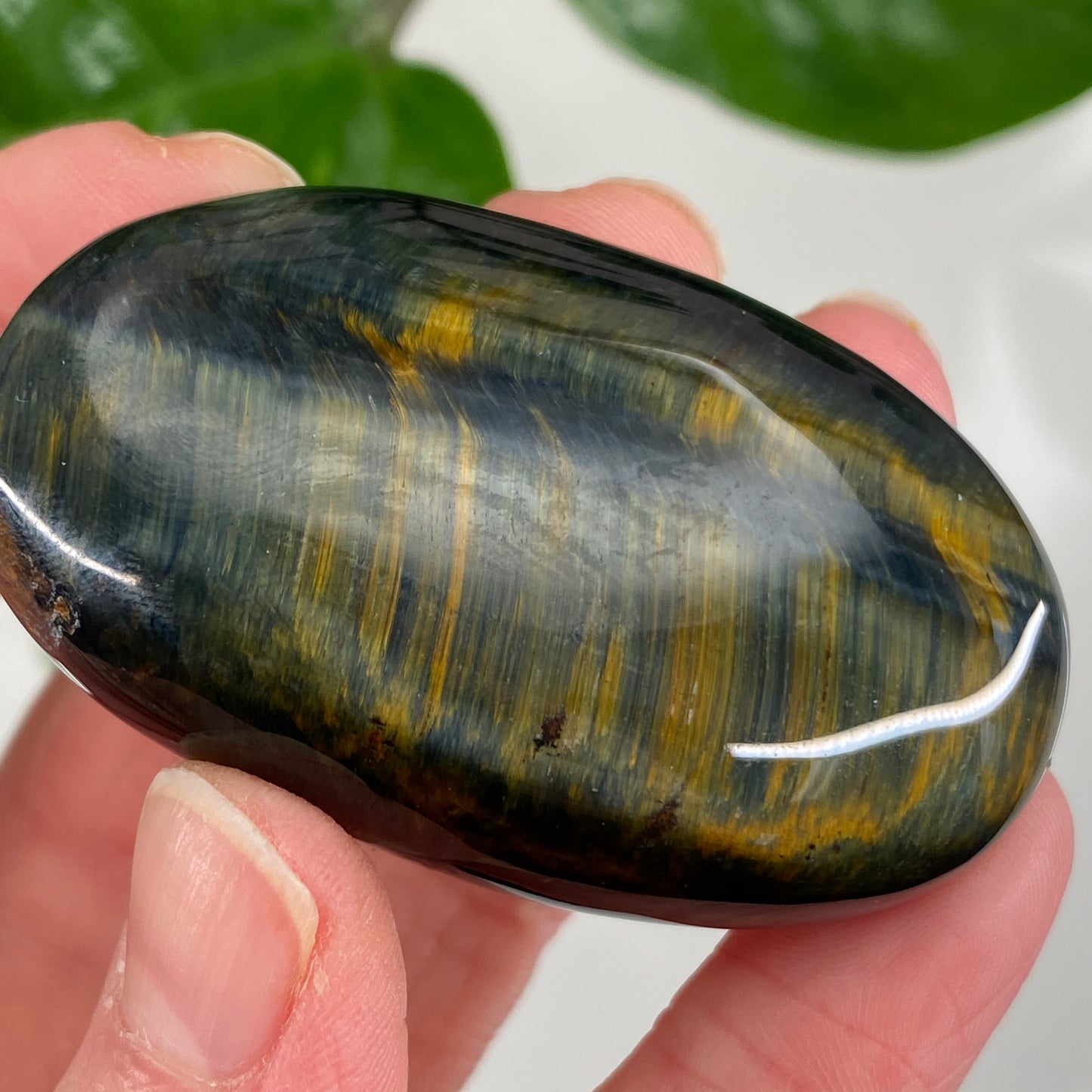 Hawk's Eye Palm Stone, Blue Tiger's Eye