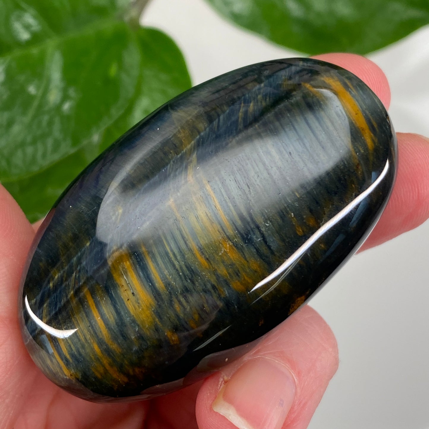 Hawk's Eye Palm Stone, Blue Tiger's Eye