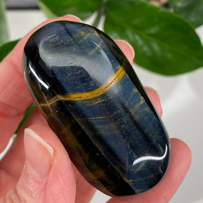 Hawk's Eye Palm Stone, Blue Tiger's Eye