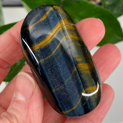Hawk's Eye Palm Stone, Blue Tiger's Eye