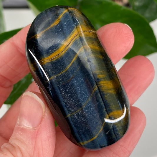 Hawk's Eye Palm Stone, Blue Tiger's Eye