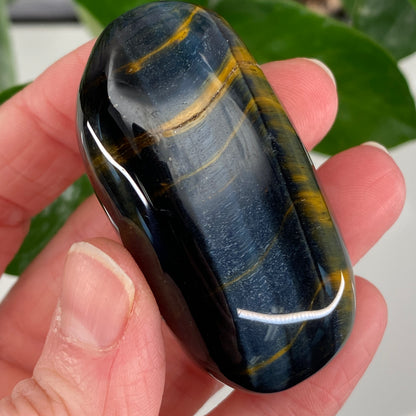 Hawk's Eye Palm Stone, Blue Tiger's Eye