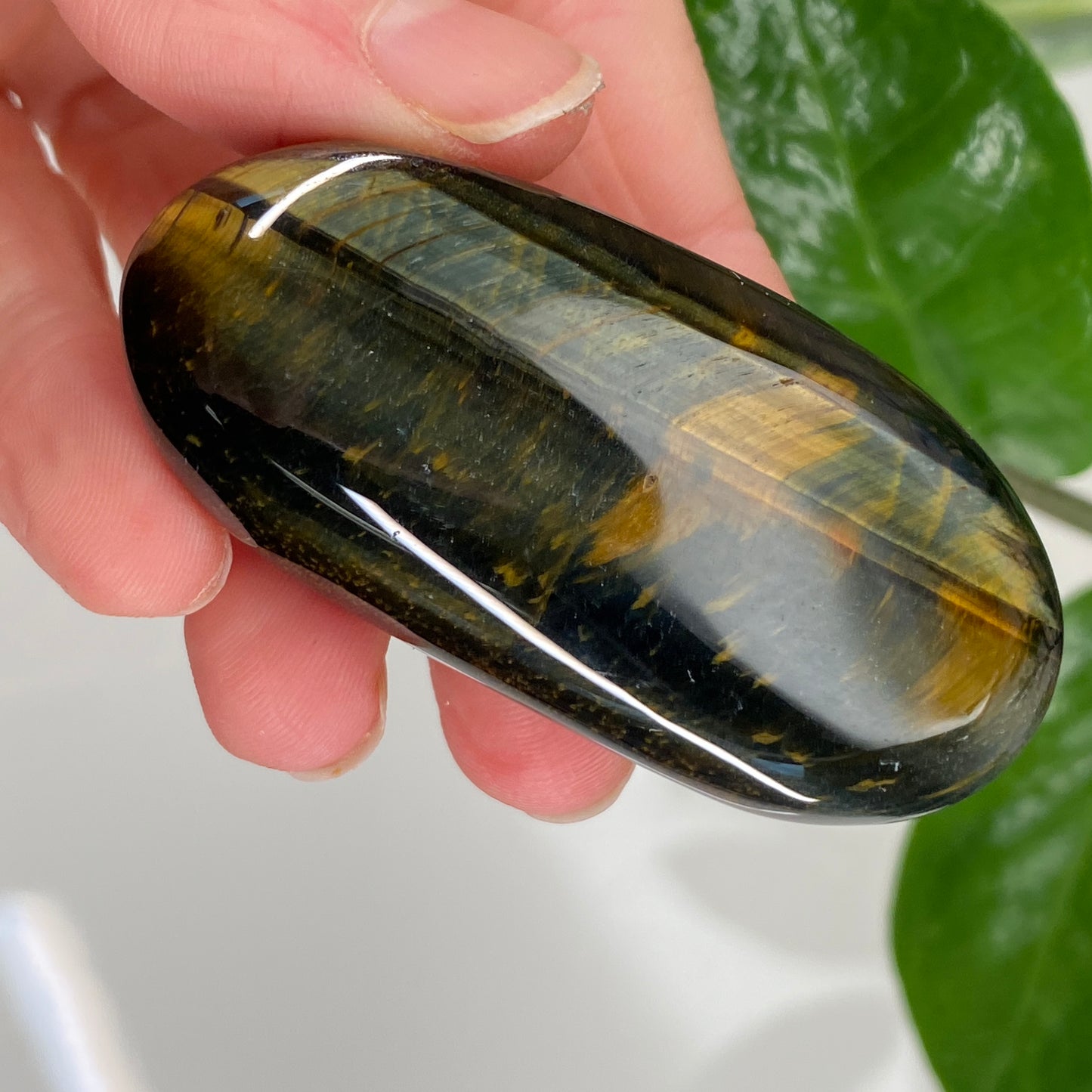 Hawk's Eye Palm Stone, Blue Tiger's Eye