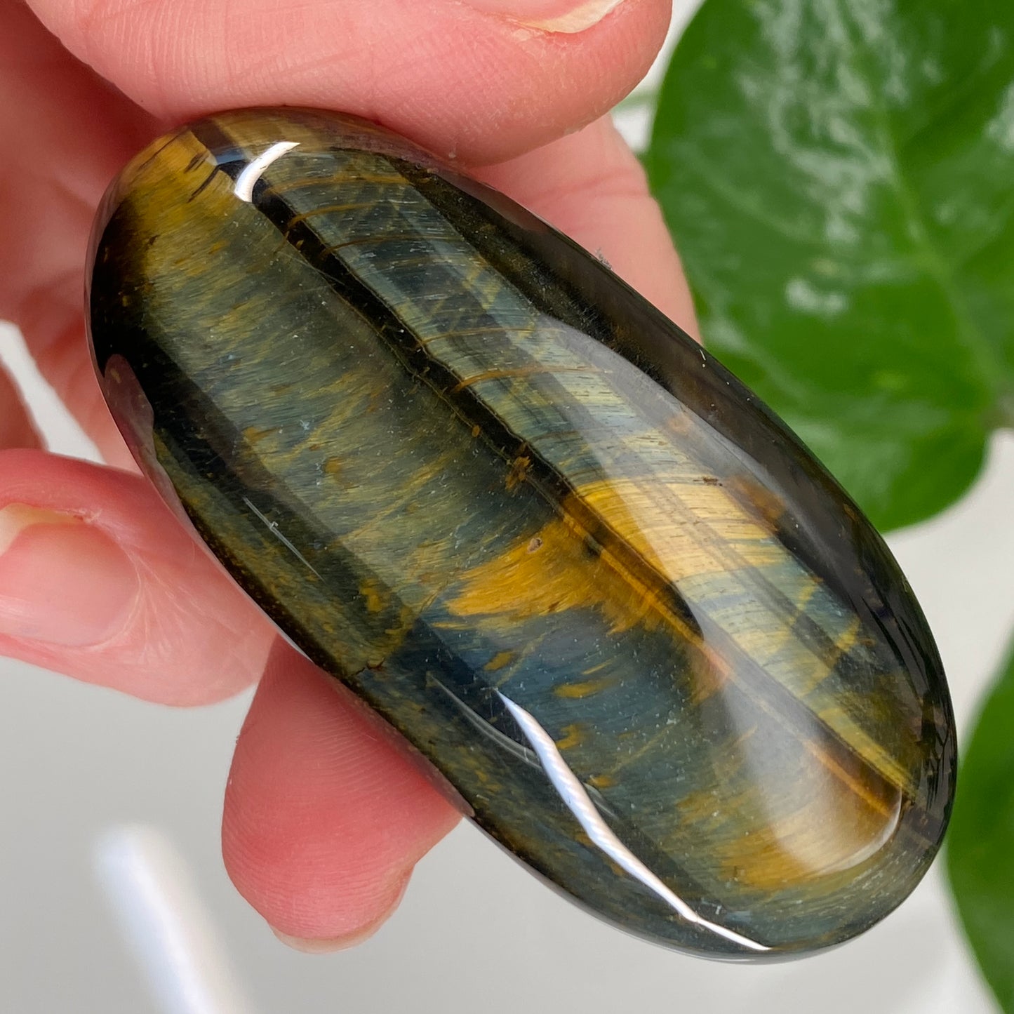 Hawk's Eye Palm Stone, Blue Tiger's Eye