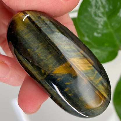 Hawk's Eye Palm Stone, Blue Tiger's Eye