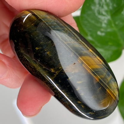Hawk's Eye Palm Stone, Blue Tiger's Eye