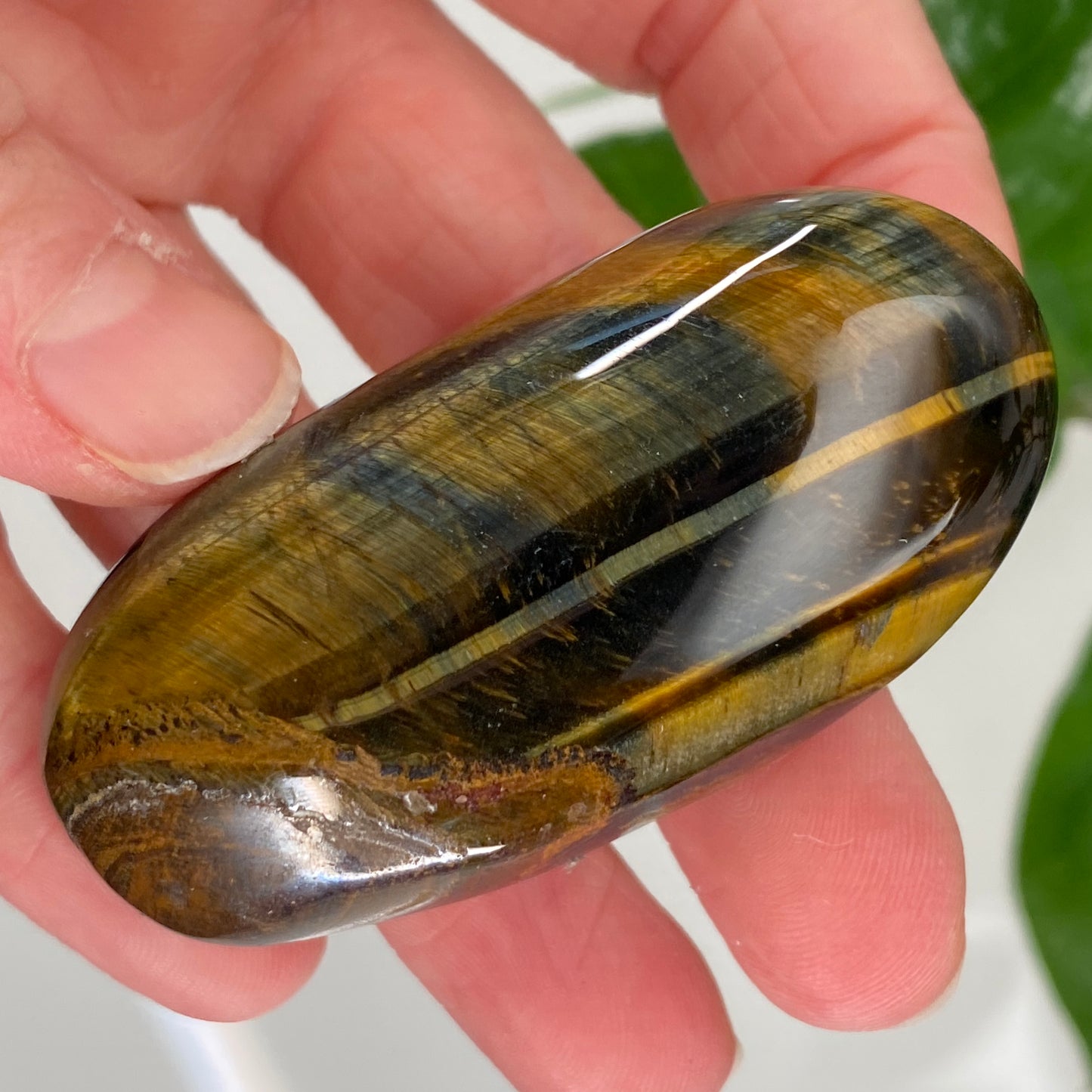 Hawk's Eye Palm Stone, Blue Tiger's Eye