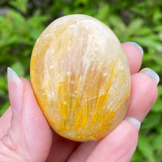 Bumblebee Jasper Palm Stone