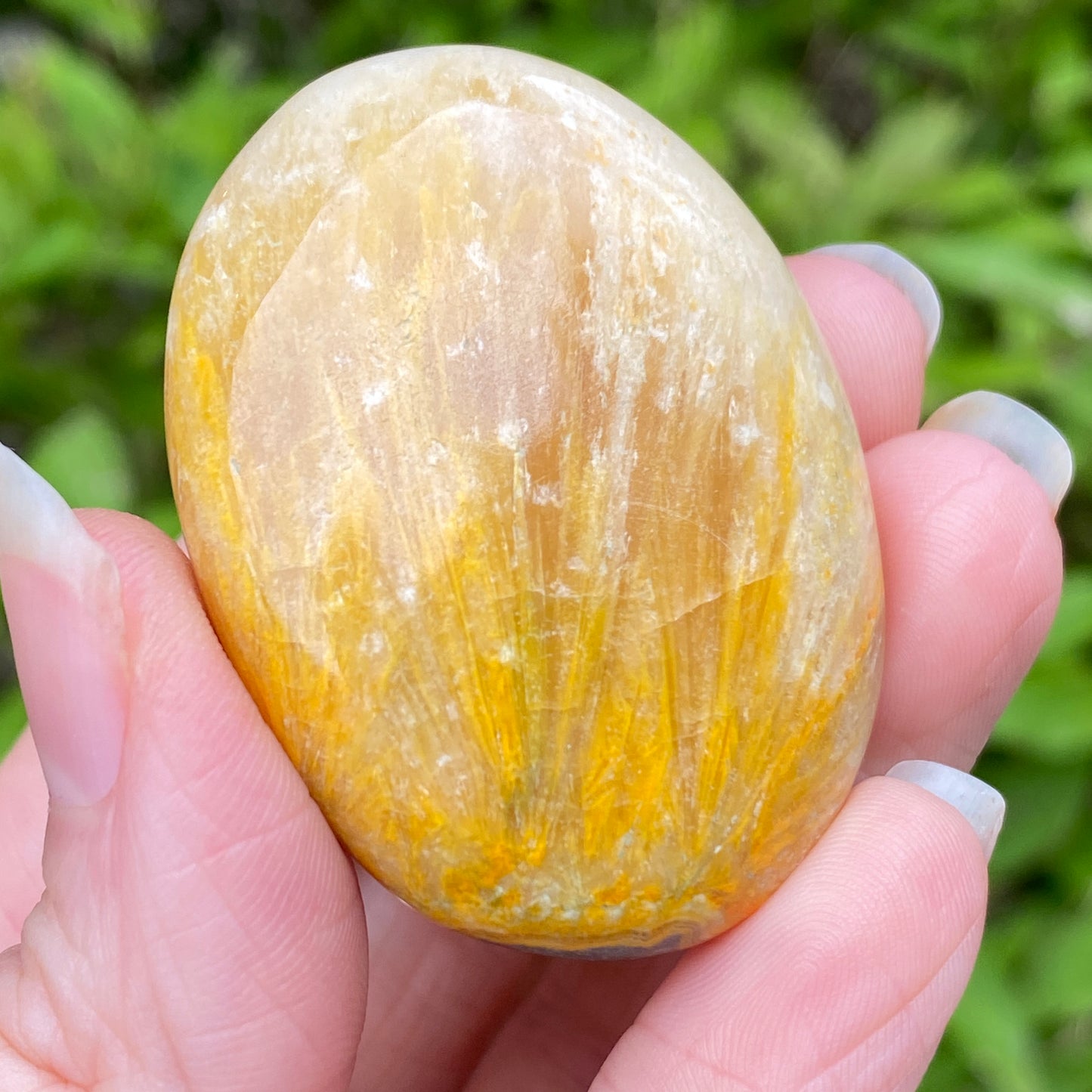 Bumblebee Jasper Palm Stone