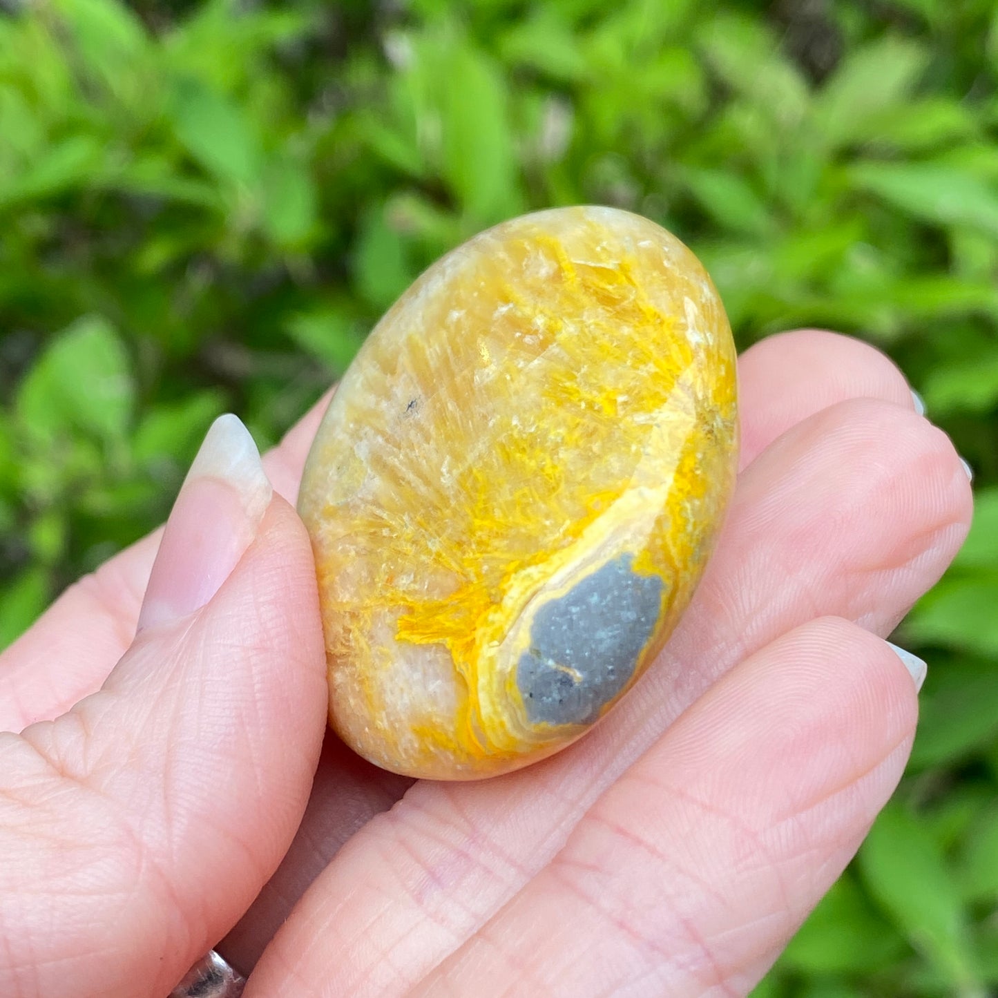 Bumblebee Jasper Palm Stone