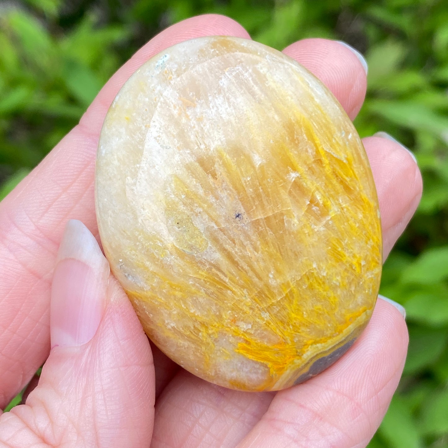 Bumblebee Jasper Palm Stone