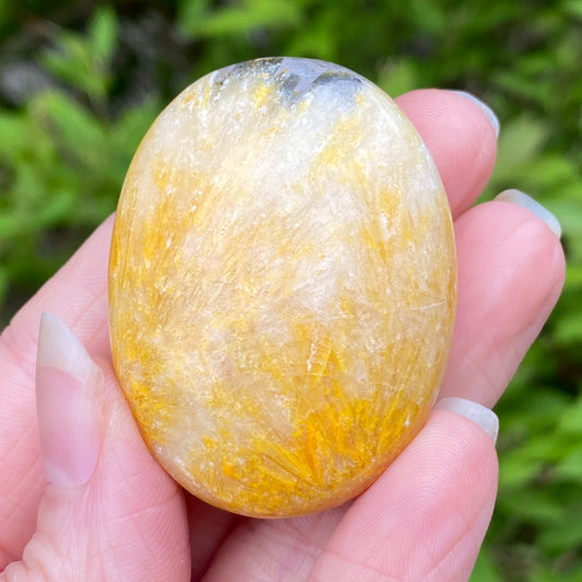 Bumblebee Jasper Palm Stone