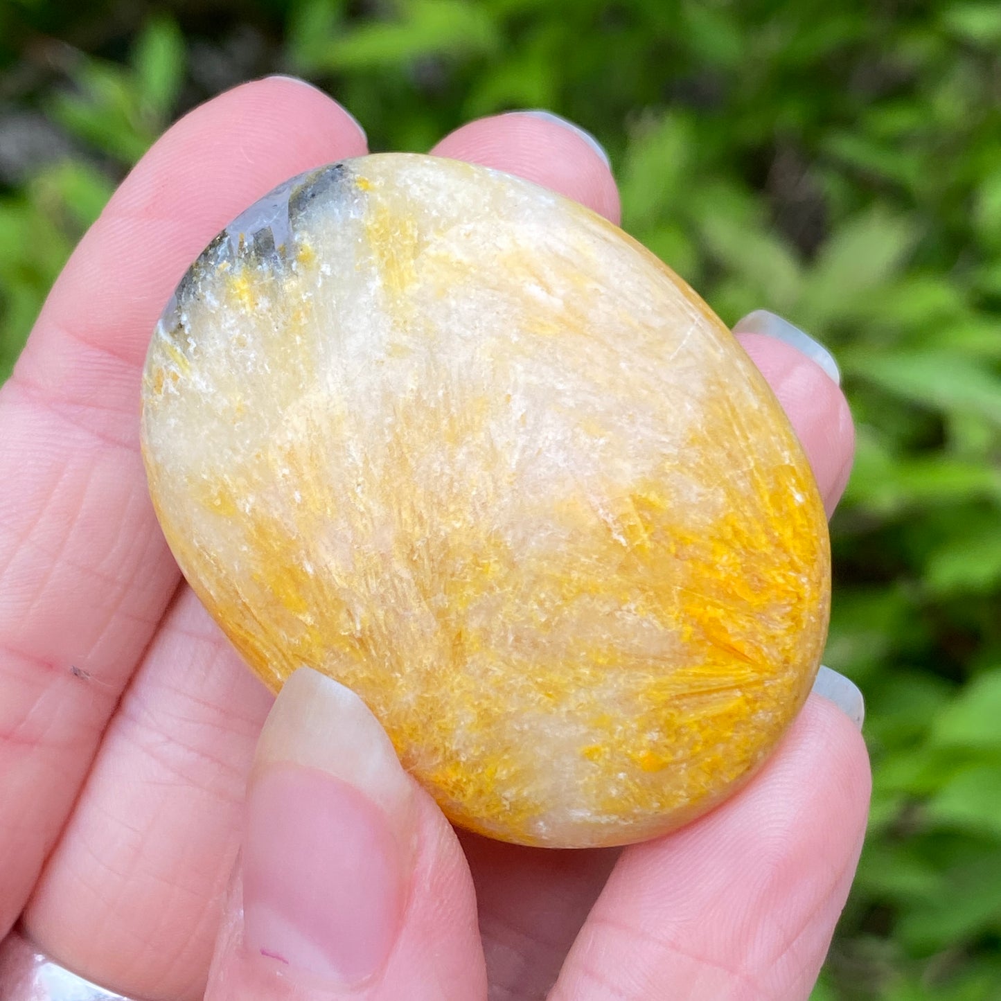Bumblebee Jasper Palm Stone
