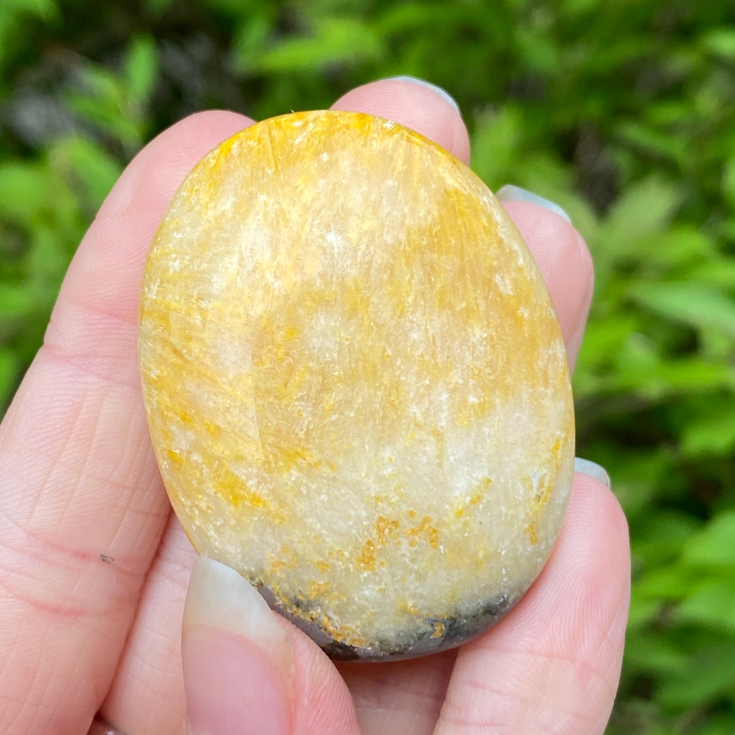 Bumblebee Jasper Palm Stone