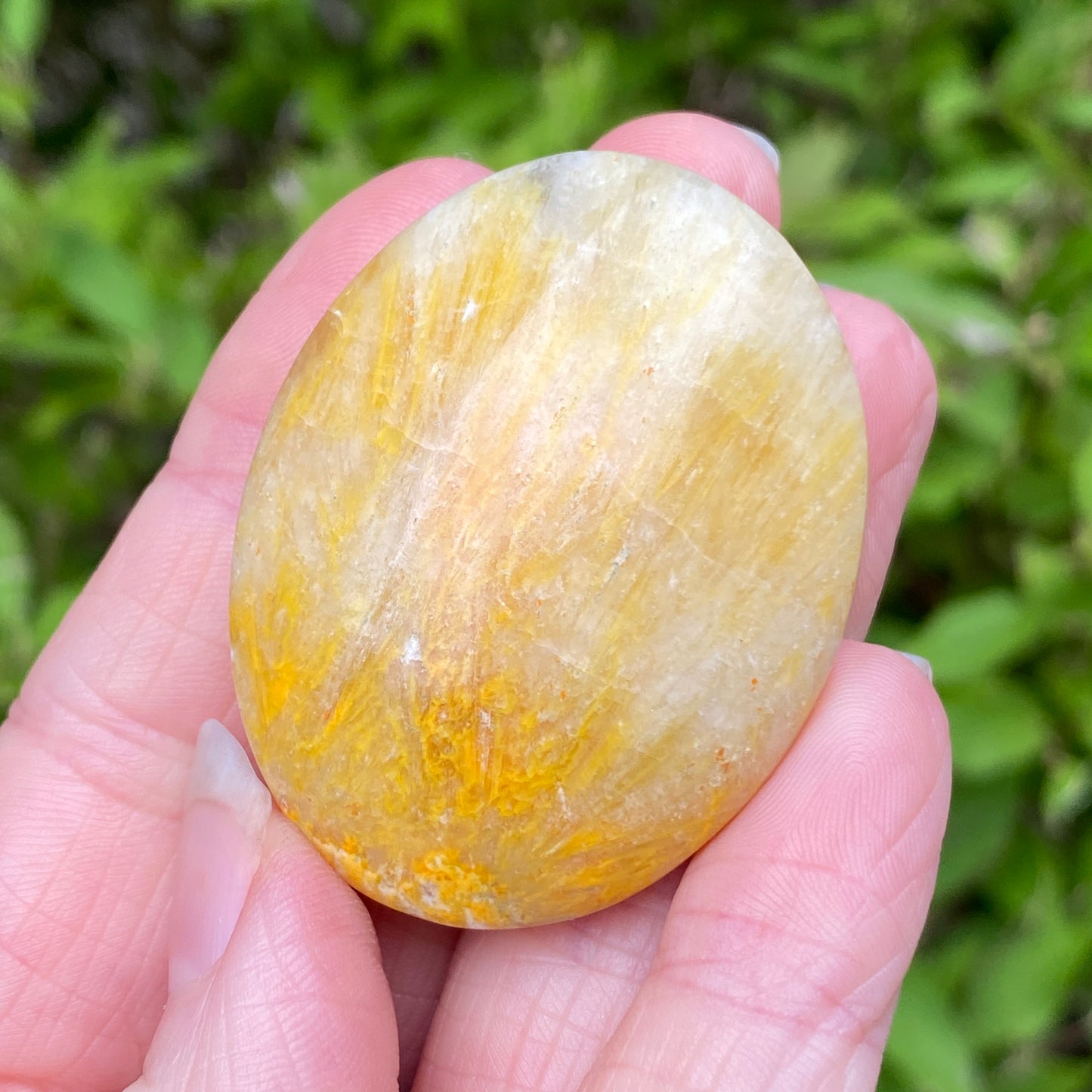 Bumblebee Jasper Palm Stone