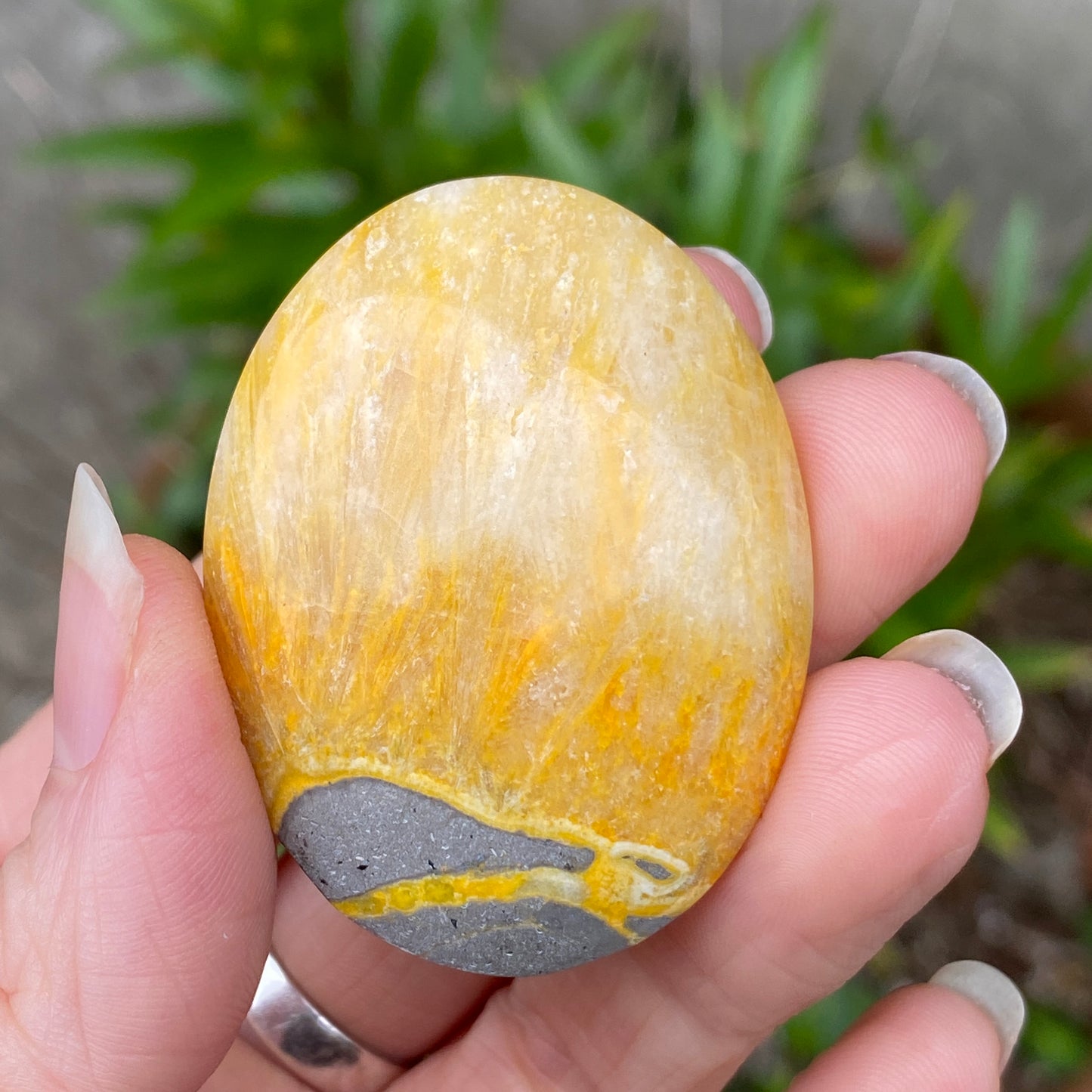 Bumblebee Jasper Palm Stone
