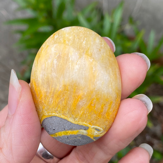 Bumblebee Jasper Palm Stone