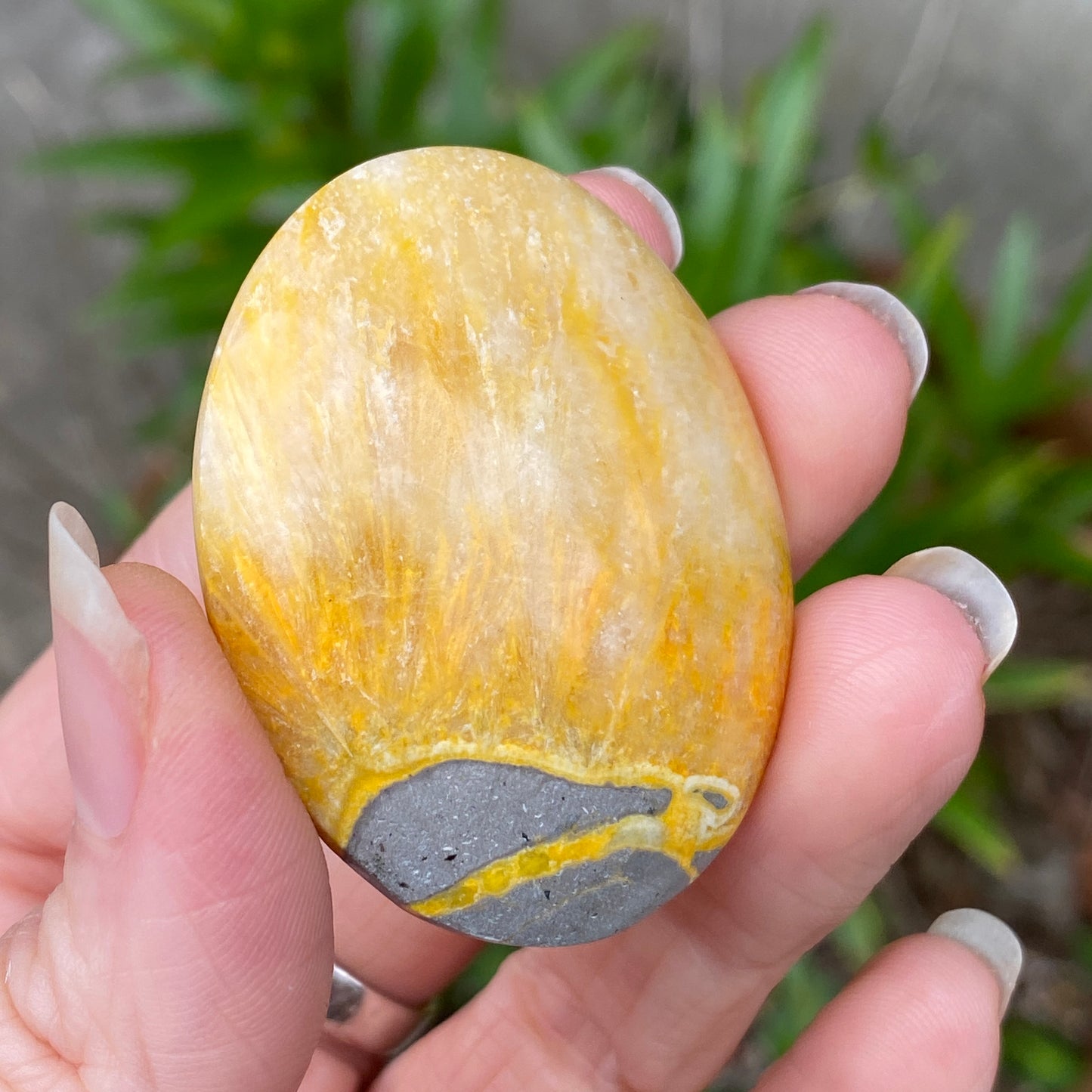 Bumblebee Jasper Palm Stone
