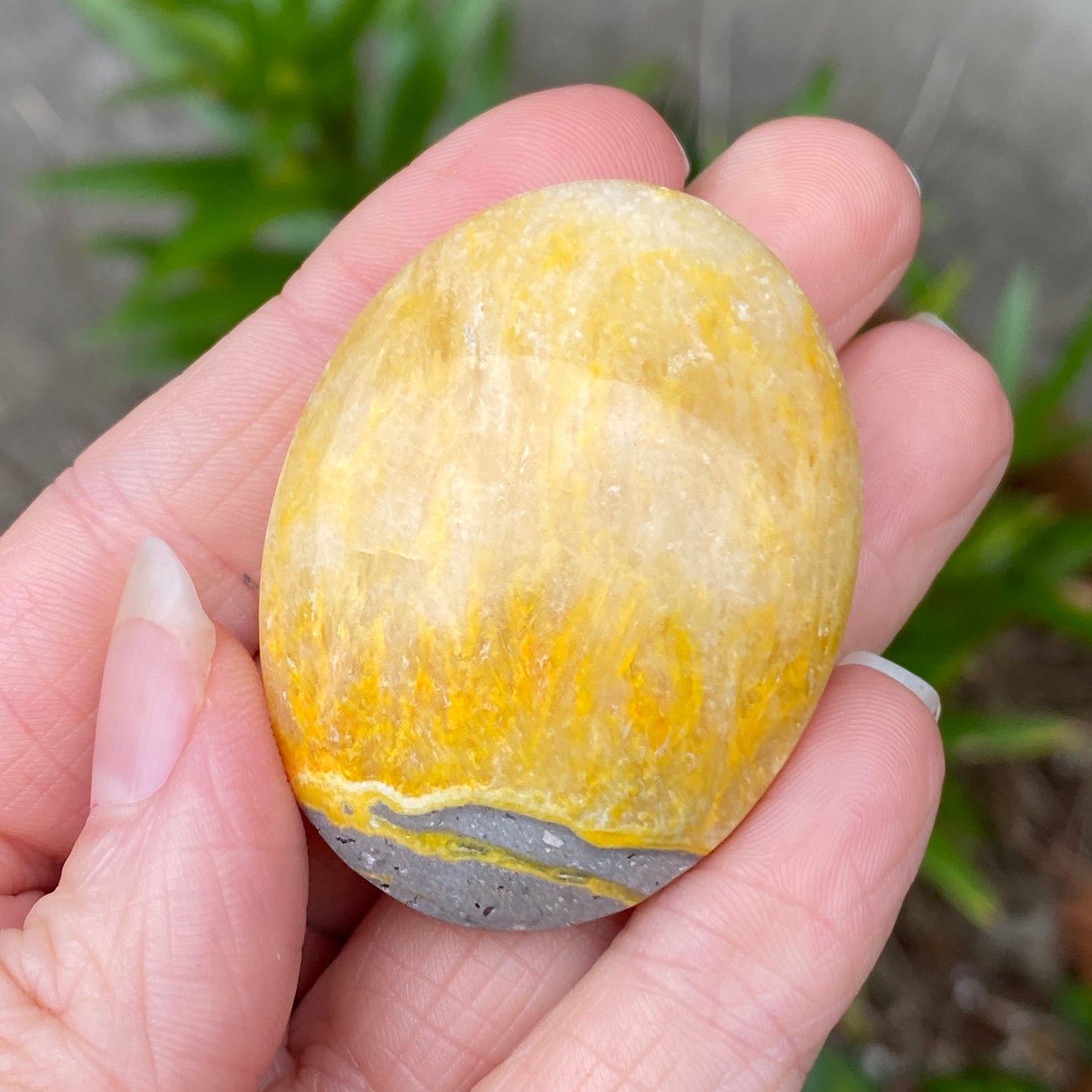 Bumblebee Jasper Palm Stone