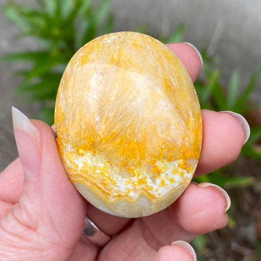 Bumblebee Jasper Palm Stone