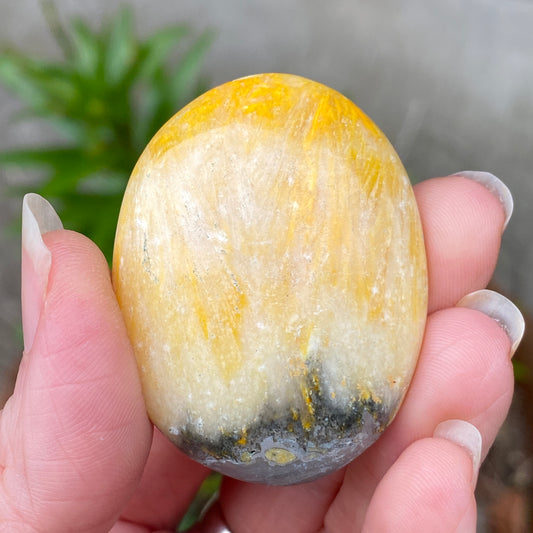 Bumblebee Jasper Palm Stone