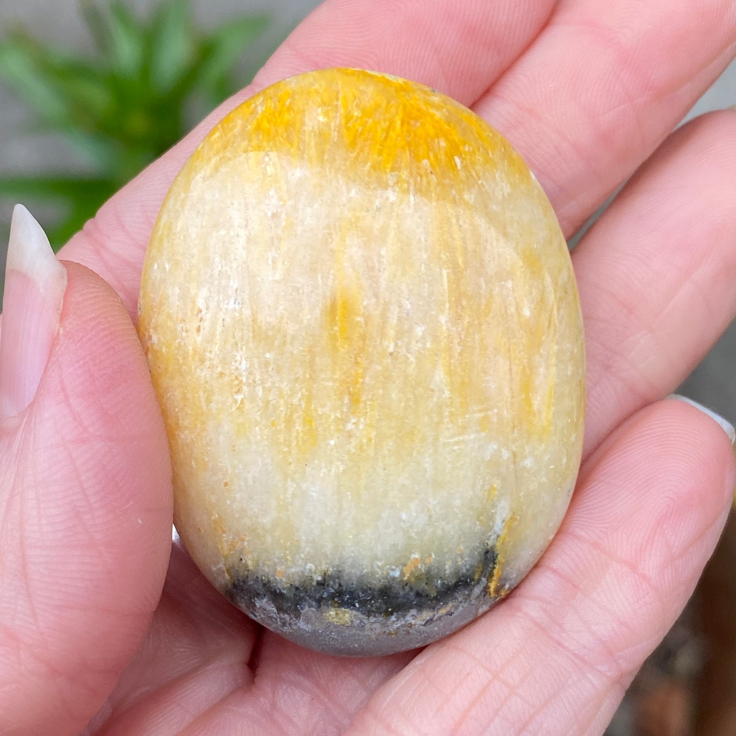 Bumblebee Jasper Palm Stone